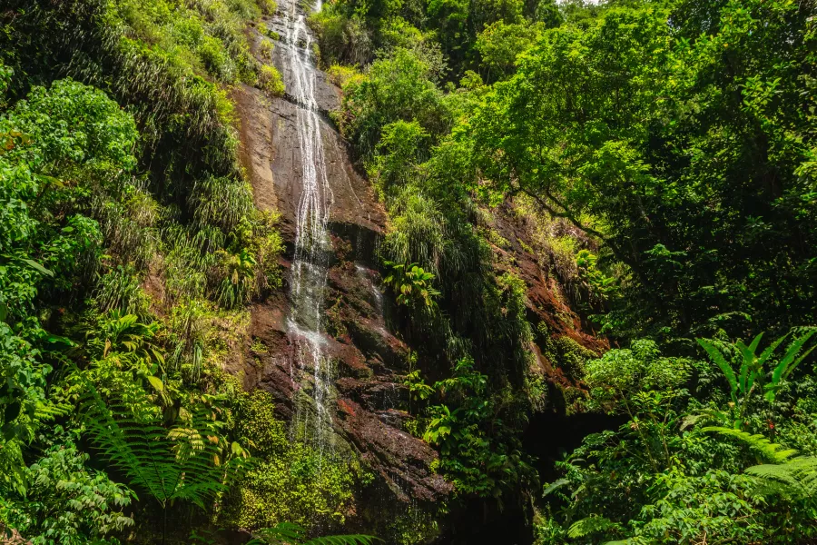 photo de la cascade de la Couleuvre en Martinique